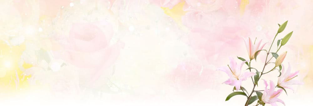 �j���[�n�[�t�̃Z�t���Əo��|�Z�b�N�X�ł���Z�t���f����
